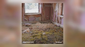 Matt Robertson - Pangaea