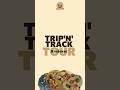 Trip'n'Track Tour - Kruševac #3 #cookies #challenge #game #fyp #games #foryoupage #krusevac