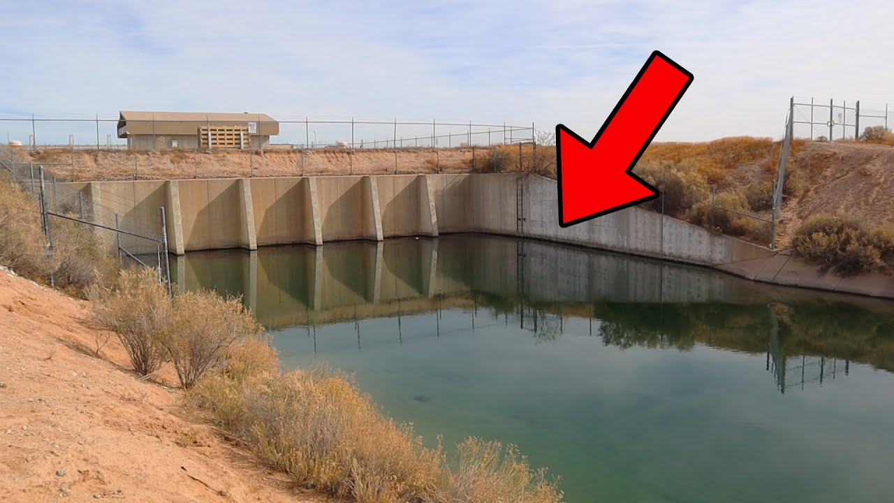 Can I Catch Fish In This STRANDED Desert Pool?