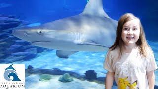 LOVELAND LIVING PLANET AQUARIUM | Alice Touches Stingrays! | Alice's Adventures