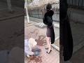 美丽的中国女孩【琴琴】#douyin #tiktok #beautiful #shorts