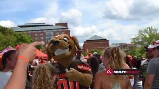 Orange And Brown Scrimmage