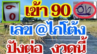 เข้า 90 แอดไก่โต้ง ปังต่อ งวดนี้ 1 มิ.ย. 67 [EP.4]