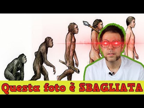 Video: Gli umani si sono evoluti dagli scimpanzé?