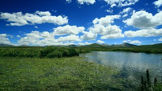 Safeguarding Chinas Water Tower Stories Shared By Xi Jinping