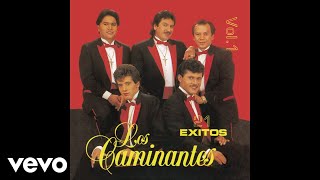 Video thumbnail of "Los Caminantes - Cuando Dos Almas (Audio)"