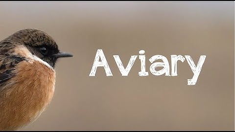 Saint-Saëns Carnival of the Animals: Aviary