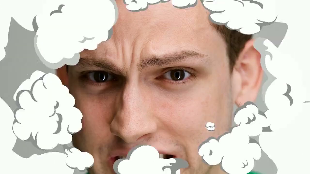 Mold Remediation Chicago IL The CleanUP Guys 773-885-8528