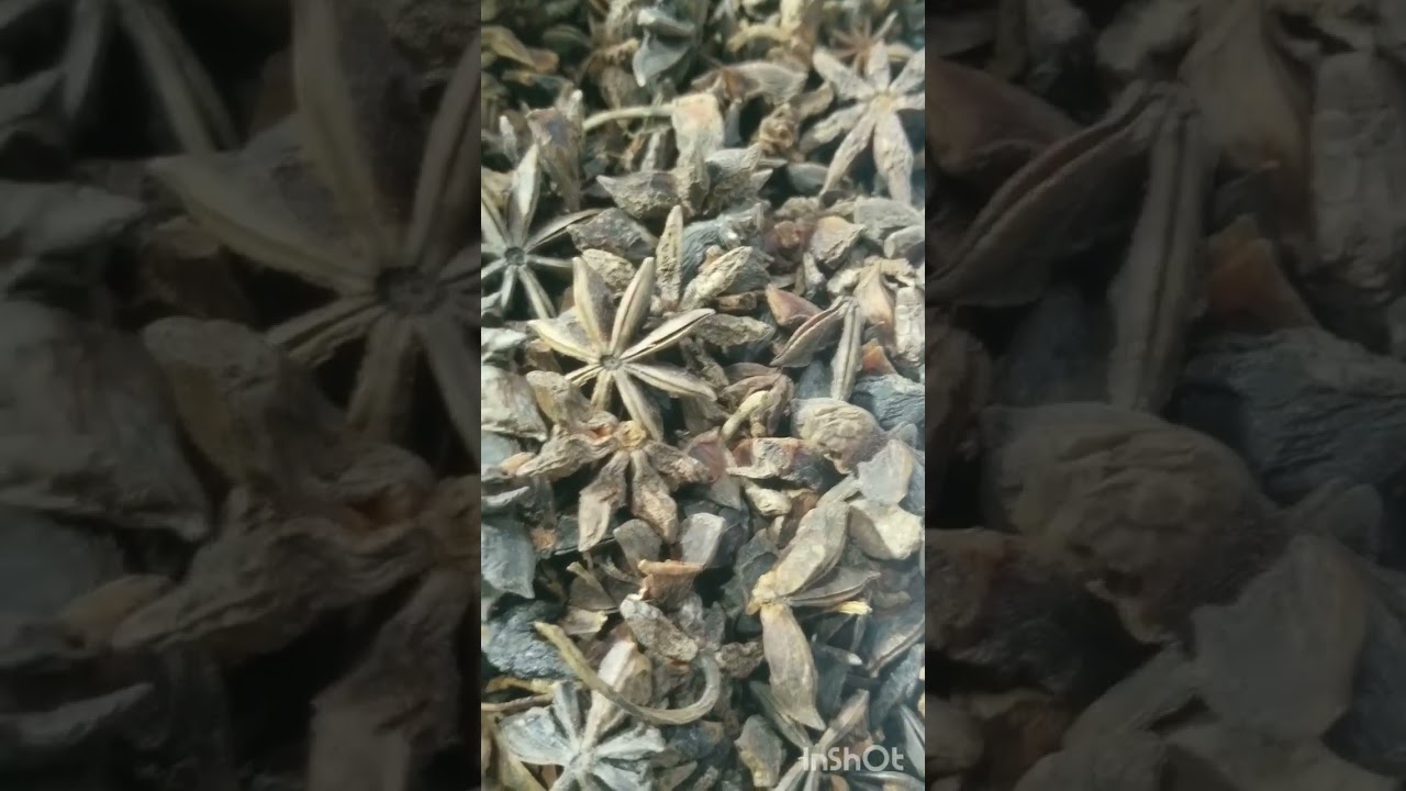 Star Aniseed/بادیان پھول 