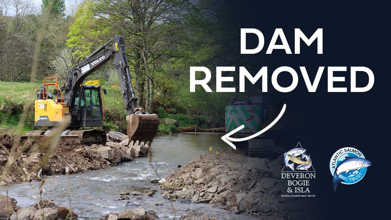 A Watershed Moment - River Deveron Dam Removal