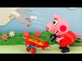 Seagull on a plane, Peppa Pig Animation