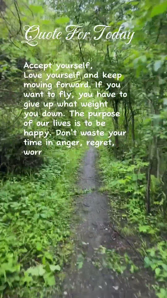 Love yourself! Because the more you love yourself, the less you seek