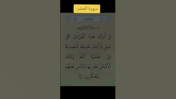 سورة الحشر #قرآن #ماهر_المعيقلي #youtube #اكسبلور #المصحف #تيك_توك #القرآن_الكريم #تليگرام