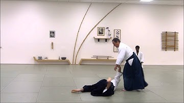 Aikido Florida Aikikai: Peter Bernath Sensei—Ryotatori Nikkyo, 4 Variations