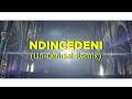 Dalom Kids Ft Tupac, Chris Brown, Nas & Ludacris - Ndincedeni (Un-Official Remix)