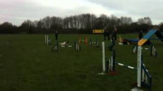 6 March 2011 - Malmesbury Agility Dogs - Agility G1-3 (Roxy 2nd Place).MOV