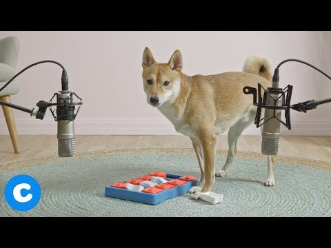 Related Embedded Video Item Thumbnail