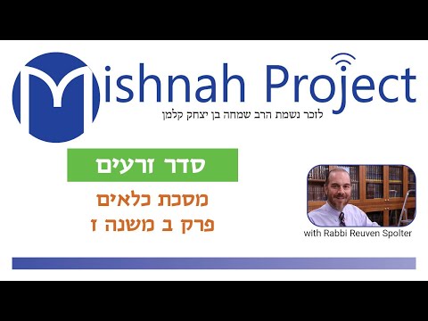 Kilayim Chapter 2 - Youtube