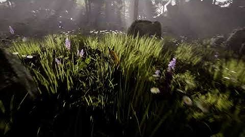 Unreal Engine - Lynx