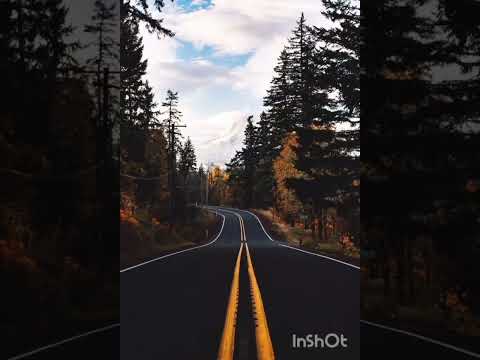 Mahmut Orhan-FEEL- feat.