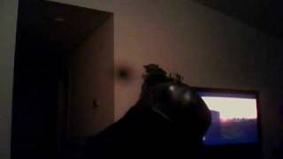 Capture_20100225_8.wmv