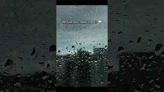 Real Rain on My Window 🌧️ Relaxing Rain Sounds for Sleep & Study