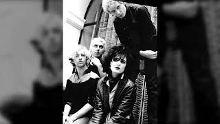 4. Suburban Relapse 1977 Siouxsie And The Banshees At The Bbc Cd1, 2009