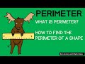 Understanding Perimeter