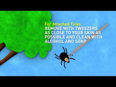 Tick Safety