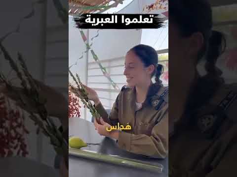 فيديو: ماذا تعني كلمة أهاب باللغة العبرية؟