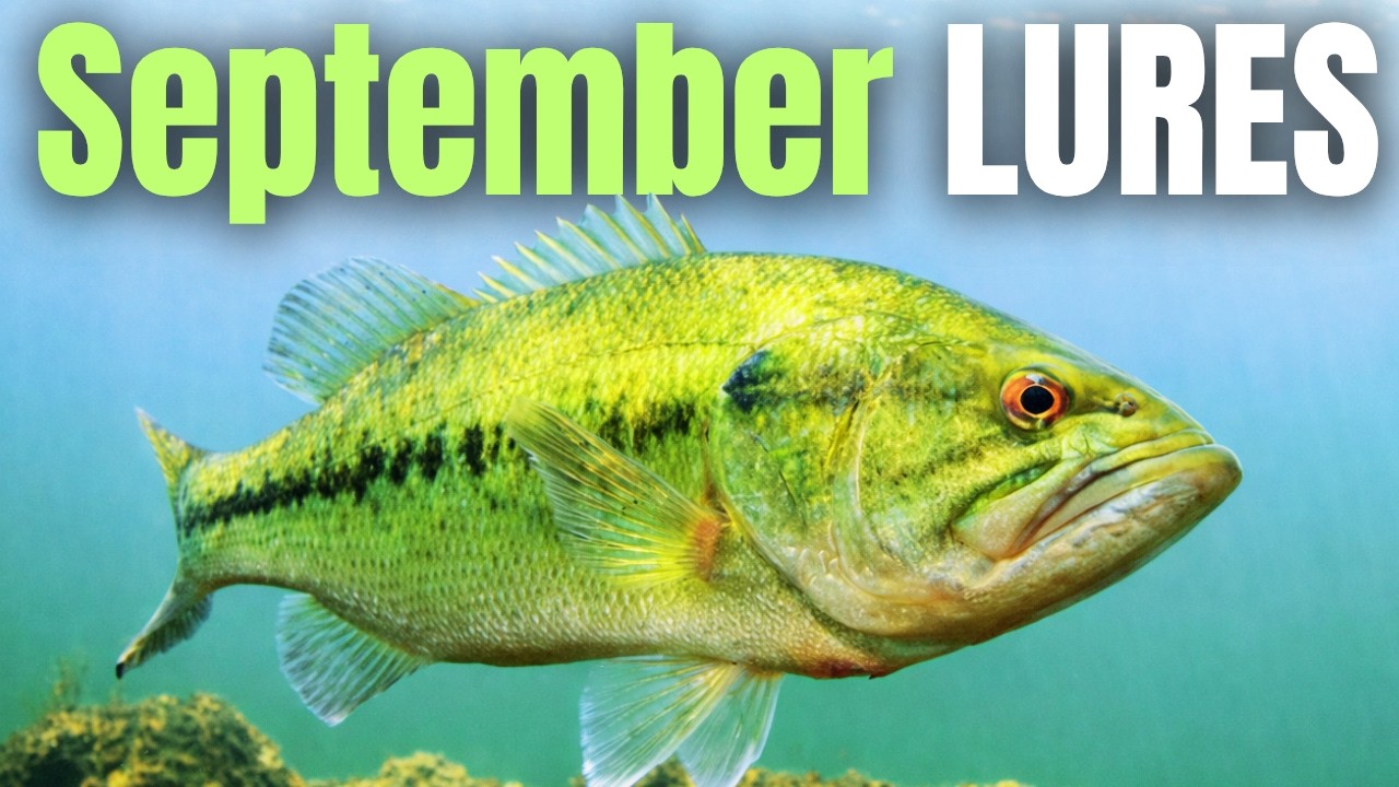 These SEPTEMBER LURES Catch Bass EVERY TIME
