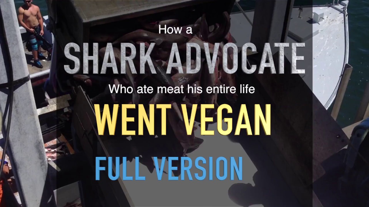 sharknado 5 Why a Shark Advocate Went Vegan