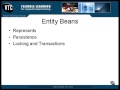 Entity Beans In Java EE
