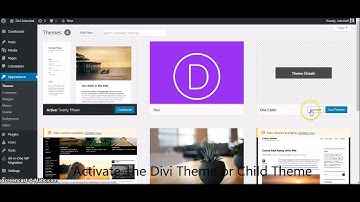 Rolling Back Divi Theme to Older Version