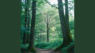 Download Lagu Cerita Hari Minggu MP3