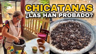 ¿Han Probado la SALSA DE CHICATANAS 🐜?