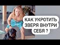 КАК УКРОТИТЬ ЗВЕРЯ ВНУТРИ СЕБЯ? Дима Елистратов