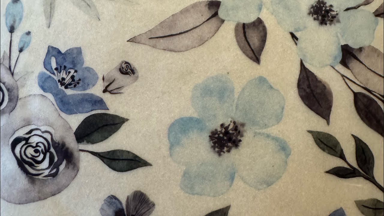 Aventuras de verano ⛱️🍉👙☀️