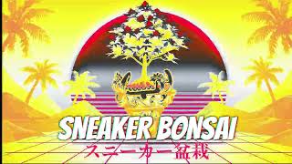 SNEAKER BONSAI | El Inicio
