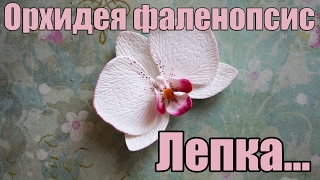 :  . .  . Polymer clay.Orchid.