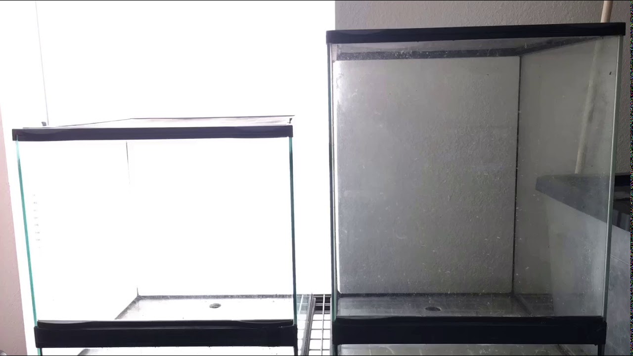 A quick tutorial zoomed terrarium false bottom/background video YouTube