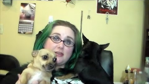 Project Use It Up October Results and November Goals