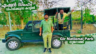 EP67 - ഏഷ്യൻ സിംഹങ്ങളെ കാണാൻ ഞങ്ങൾ ഗുജറാത്തിൽ | Gir National Park