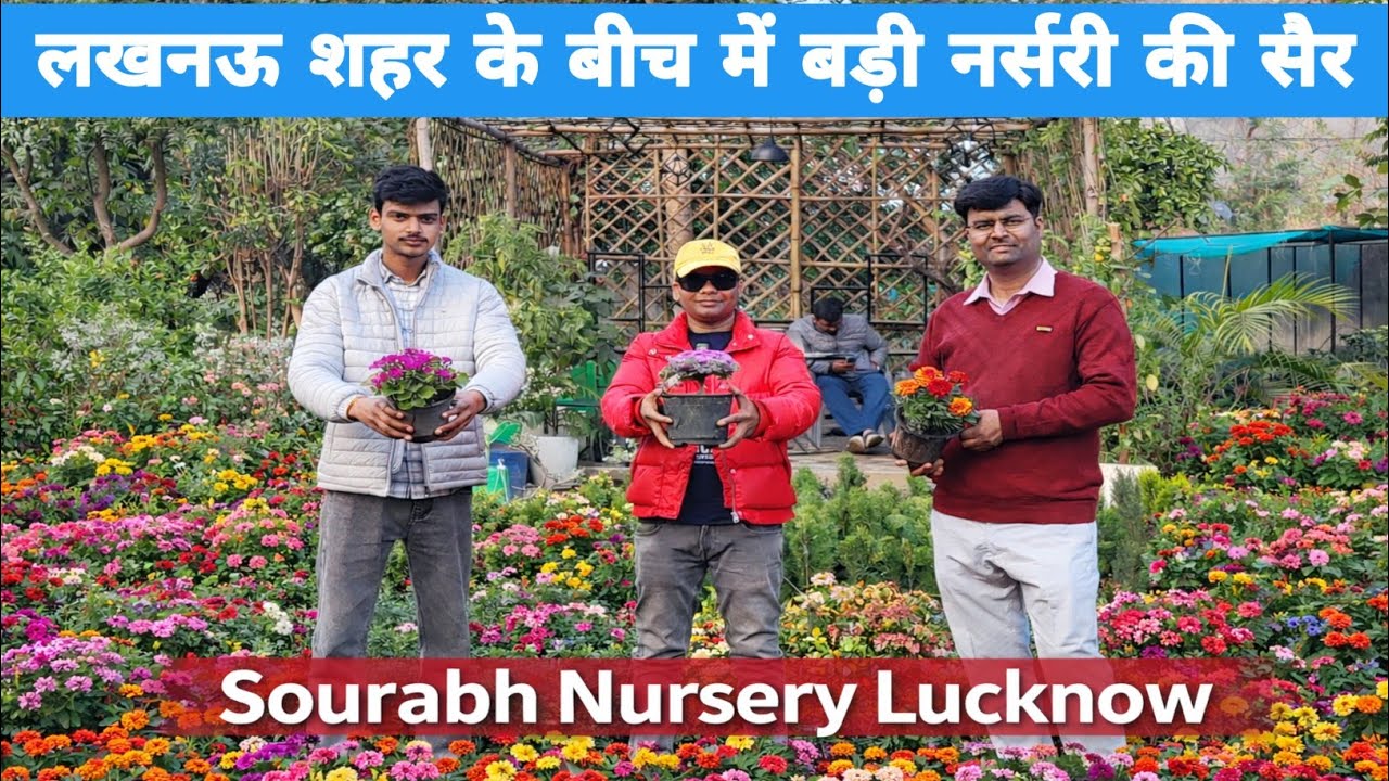 🌸 लखनऊ शहर के बीचों-बीच सबसे खूबसूरत और बड़ी नर्सरी 🌿Sourabh Nursery Lucknow 🌼 lucknow nursery plant