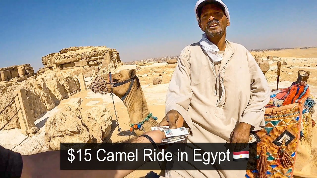 $15 Camel Ride in Egypt 🇪🇬