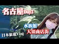 日本旅遊Vlog｜名古屋港水族館🐠🦀超療癒海龜🐢+大須商店街🏯 Day2