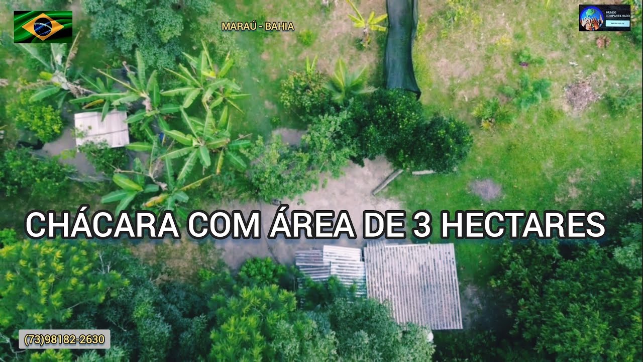Chácara a venda, área de 3 hectares com cacau, água, energia, internet,zona rural de Maraú na Bahia 