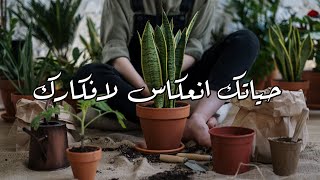 ربي نفسك قبل ان تربيك الحياة