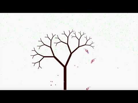 Ecosphere - Genetic Algorithm Ecosystem