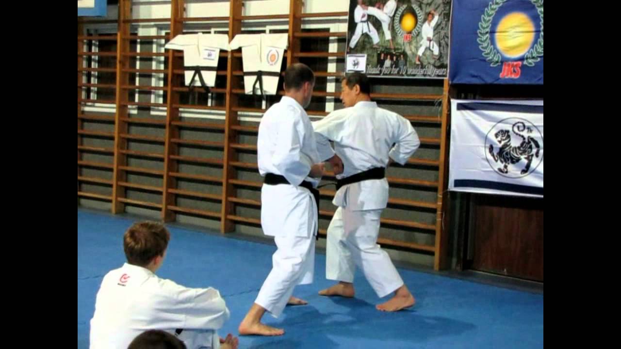 Gankaku kata bunkai - Masao Kagawa sensei
